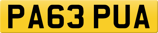 PA63PUA